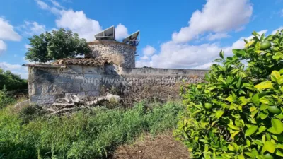 Rustic Finca in Muro photo 5