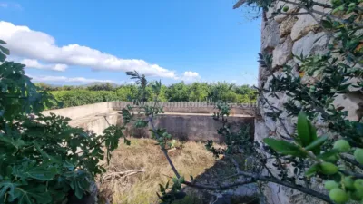 Rustic Finca in Muro photo 6