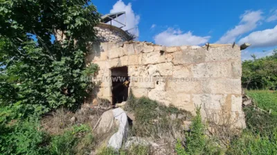 Rustic Finca in Muro photo 7