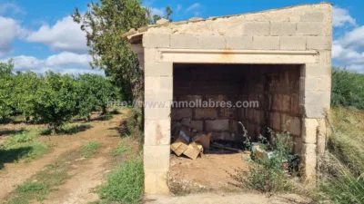 Rustic Finca in Muro photo 8