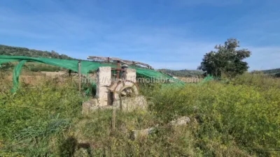 Finca rústica en Petra photo 4