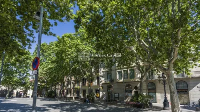 Piso en alquiler en Carrer de Ràfols - Imagen 62