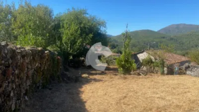 House in Ferreiros-Entrimo photo 24