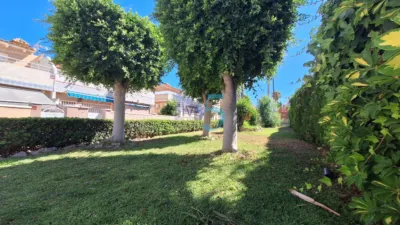 House in Los Altos photo 35