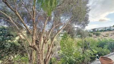 Rustic Finca in Seghers photo 28