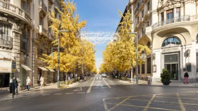 Ático en venta en Calle Gran Vía de Colón, 2, cerca de Calle Reyes Católicos, Centro-Catedral (Granada Capital) de 750.000 €