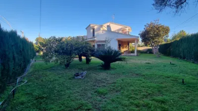 Pis – Vila-real - Vista 4