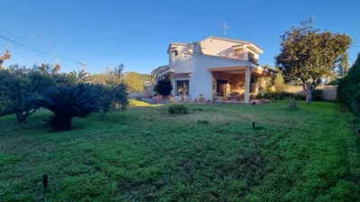 Pis – Vila-real - Vista 5
