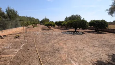 Finca rústica en Algaida photo 10