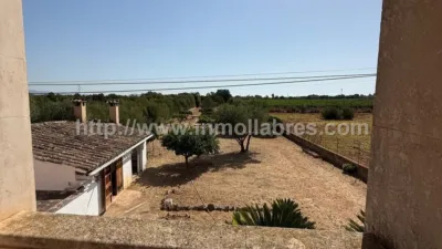 Rustic Finca in Algaida photo 2