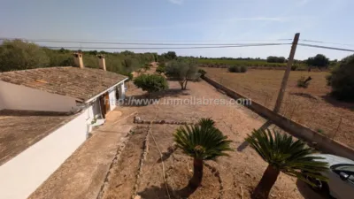 Rustic Finca in Algaida photo 3