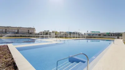 Pis – Torrevieja - Vista 2