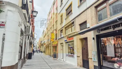 Piso en calle Teodosio photo 40
