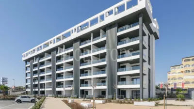 Piso – Torrevieja - Vista 4