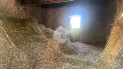 House in Entrimo-Lantemil photo 10