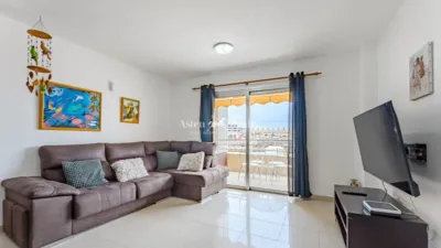 Apartment on Calle del Aljibe photo 3