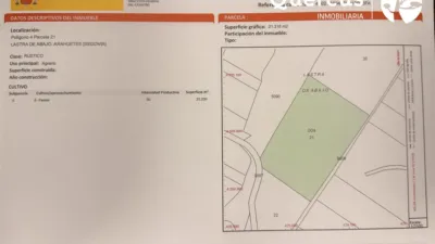 Finca rústica en Arahuetes photo 4
