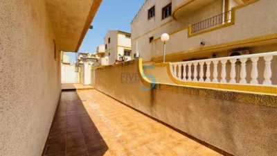 Apartment in Playa Flamenca photo 15