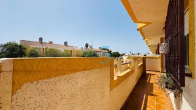 Apartment in Playa Flamenca photo 16
