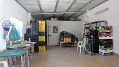 Finca rústica en Centro photo 19