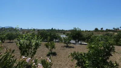 Rustic Finca in Centro photo 3