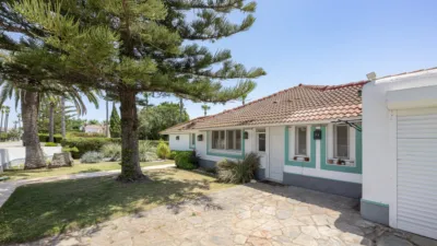 Chalet in Sotogrande Costa photo 46