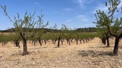 Finca rústica en venta en Valencia Province, Cofrentes de 800.000 €