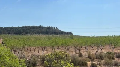 Finca rústica en venta en Valencia Province, Cofrentes de 800.000 €