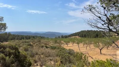 Finca rústica en venta en Valencia Province, Cofrentes de 800.000 €