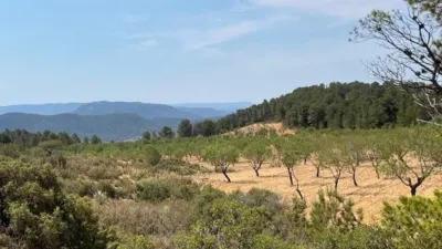 Finca rústica en venta en Valencia Province, Cofrentes de 800.000 €