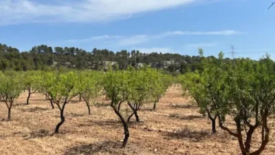 Finca rústica en venta en Valencia Province, Cofrentes de 800.000 €