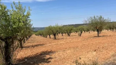 Finca rústica en venta en Valencia Province, Cofrentes de 800.000 €
