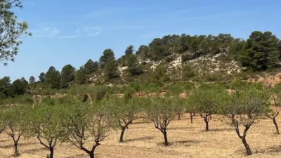 Finca rústica en venta en Valencia Province, Cofrentes de 800.000 €