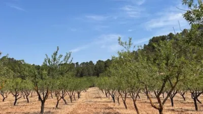 Finca rústica en venta en Valencia Province, Cofrentes de 800.000 €