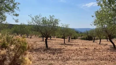 Finca rústica en venta en Valencia Province, Cofrentes de 800.000 €