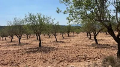 Finca rústica en venta en Valencia Province, Cofrentes de 800.000 €