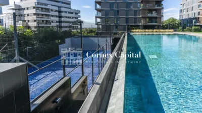 Penthouse on Carrer del Professor Barraquer photo 20