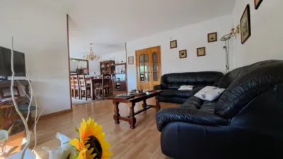 Chalet in Ca n'Alzamora photo 5
