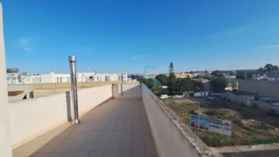 Apartment in Almoradi photo 30