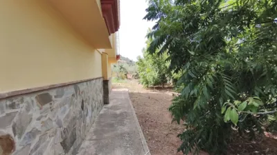 Rustic Finca in Coín photo 22