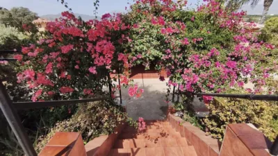 Rustic Finca in Coín photo 25