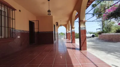 Rustic Finca in Coín photo 4