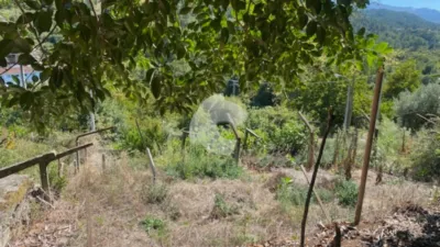 House in Valoiro - Lobios photo 17