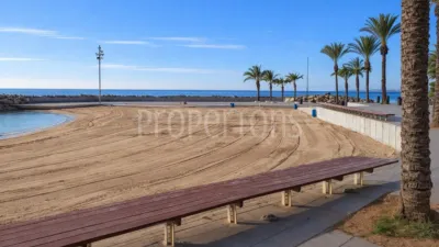 Pis – Torrevieja - Vista 3
