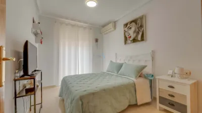 House in Playa Flamenca photo 12