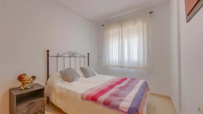 House in Playa Flamenca photo 15