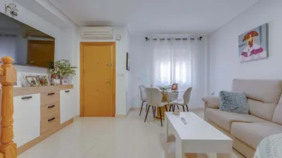 House in Playa Flamenca photo 6