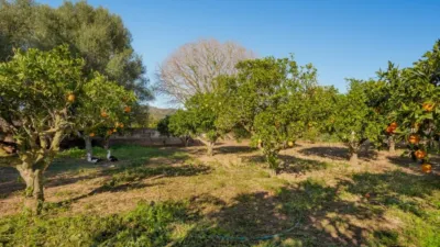 Finca rústica en venta en Son Servera, Son Servera de 599.000 €