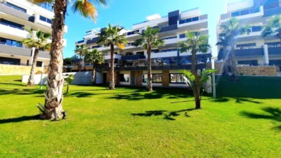 Apartment in Los Altos photo 31