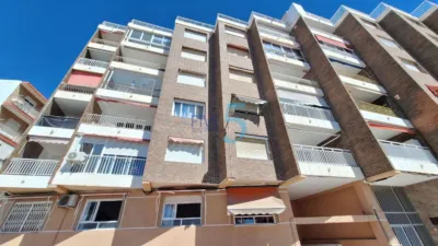 Apartment in Torrevieja photo 23